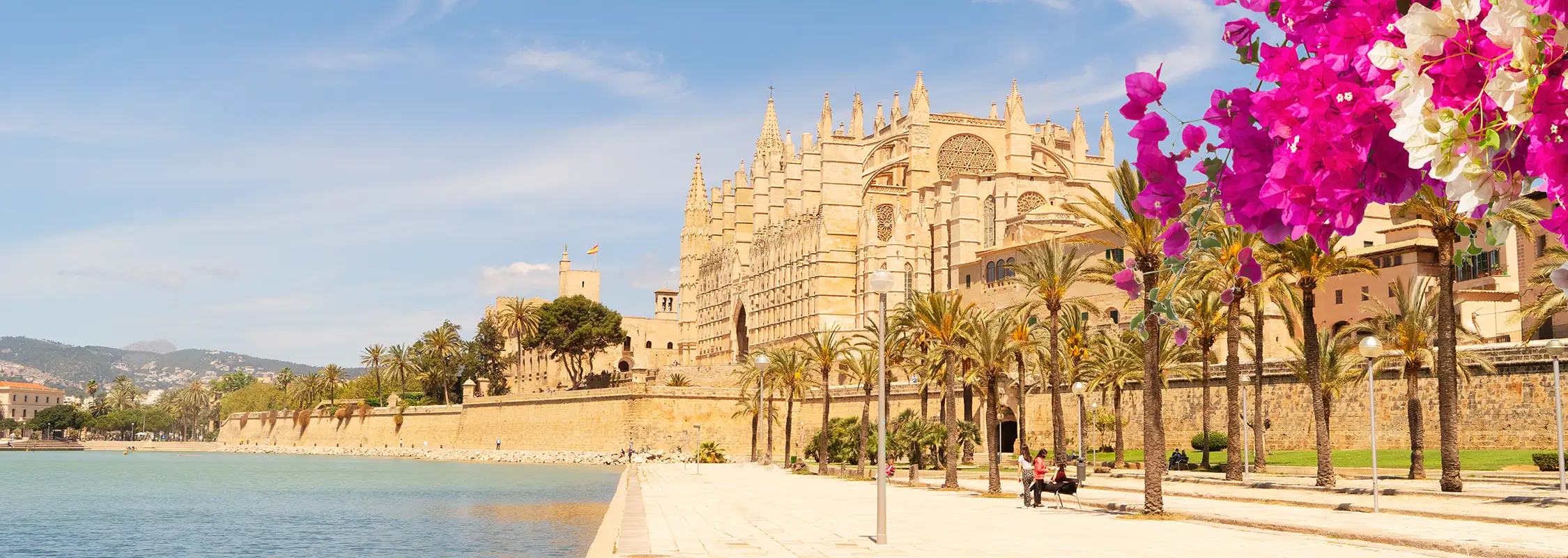 Destinos Mallorca Fergus Hotels Destinos Mallorca Fergus Hotels