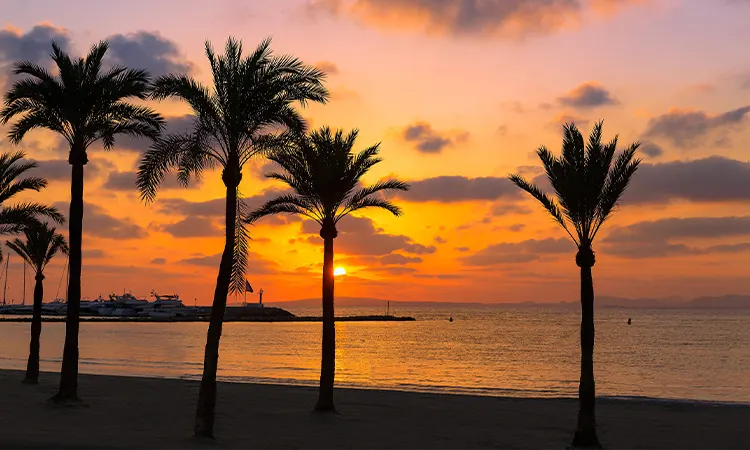 Destinos Cádiz FERGUS Hotels Mercado de abastos destinos Cádiz FERGUS Hotels