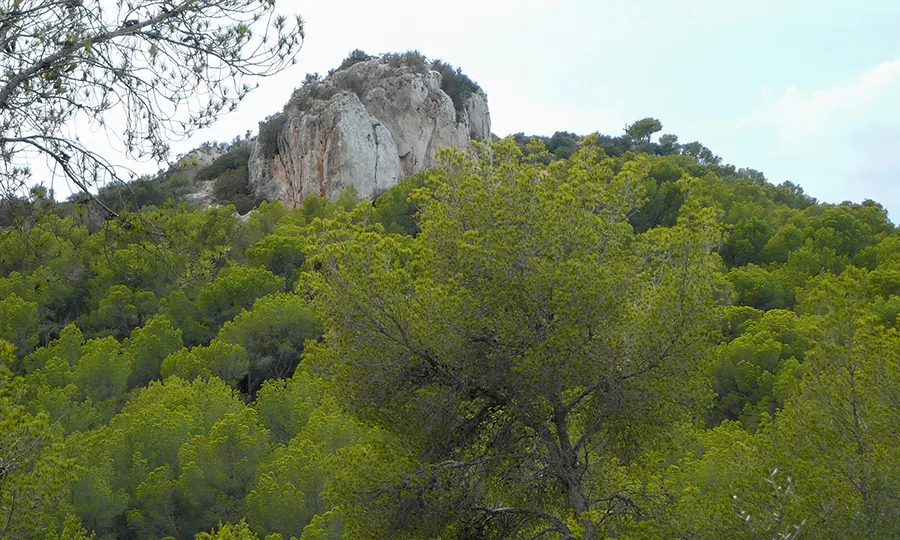 Destinations Santa Ponsa Mallorca FERGUS Hotels Puig de Morisca Ponsa Destinations Mallorca FERGUS Hotels