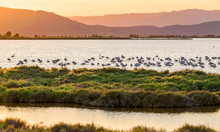 Destinations Tarragona FERGUS Hotels Ebre Natural Park destinations Tarragona FERGUS Hotels