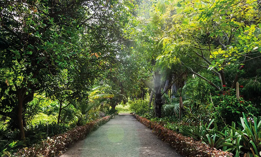 Destinations Puerto de la Cruz Tenerife FERGUS Hotels Botanic Garden destinations Puerto de la Cruz Tenerife FERGUS Hotels