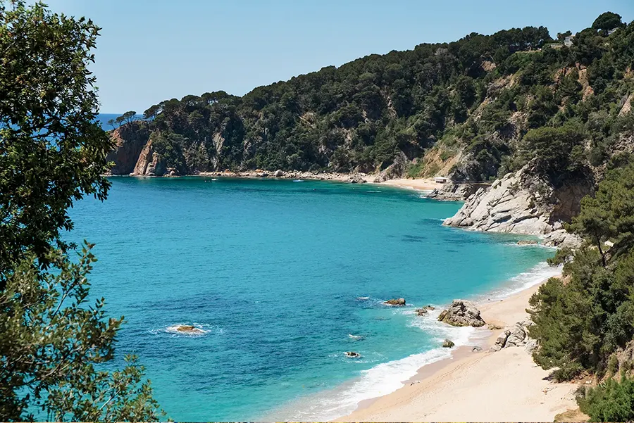 Ocio y actividades Ocio y actividades Fergus Cap Roig