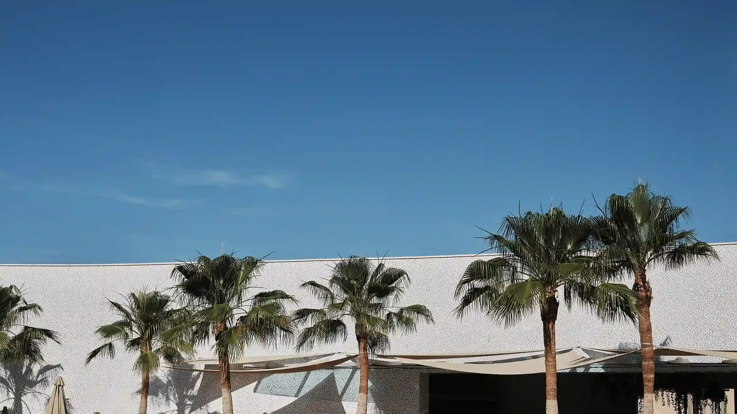 contact FERGUS Hotels hero contact FERGUS Hotels