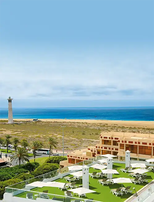 Fergus Cactus Garden Fergus Cactus Garden Fergus Hotels